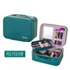 Two-color handheld cartoon cosmetic bag for traveling, small set, internet celebrity