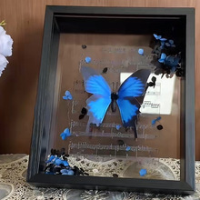 �p���沣�����˱�diy�п�4���׺���Ⱥ��չʾ��1265�ɻ�������l