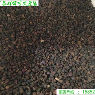 ���羳��؛���²����m�N�Ӽt���m�����m�N�ӏV���m�S���m�����m��