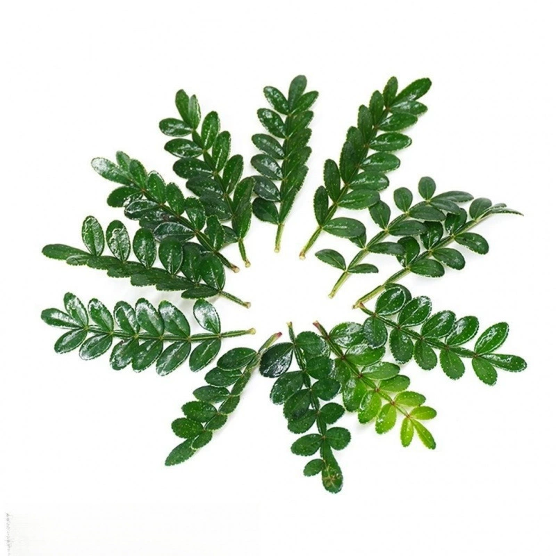 Декоративная тарелка украшает десерт с перцем в горшках