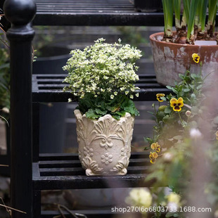 �ֹ��։��t�ջ����������ʽ����͹����f��͸�⻨�@���ℓ�⻨��