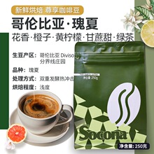 Socona炐ȁľƷȶ250grFĥ\決֛_Ʒ