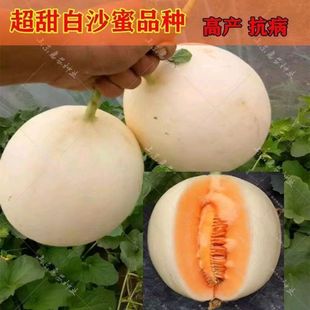 �����ɳ����ϷN�Ѵ��＾�߮a��Ƥ�ش��Ƥ��ϷN���ļ�ˮ���N��