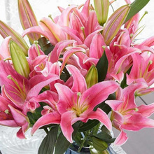 ��������϶��^��������F��ֱ�l�滨�r������ˮ�B��ˮ�ٺ��r��