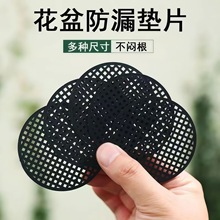 ����|Ƭ��©���|Ƭ�׉|��©�W�����մ���׷��x�Vˮ͸��W��|Ƭ