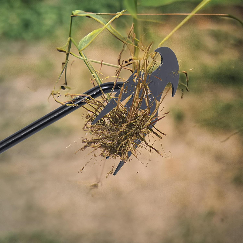 71mCsPa4LuL._AC_SL1500_