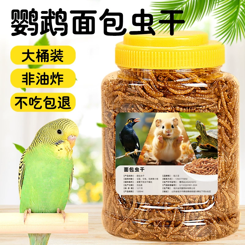 Корм для попугаев Starling Parrot Mealworm с высоким содержанием белка, сушеные мучные черви, корм для корелл и жемчужных попугаев