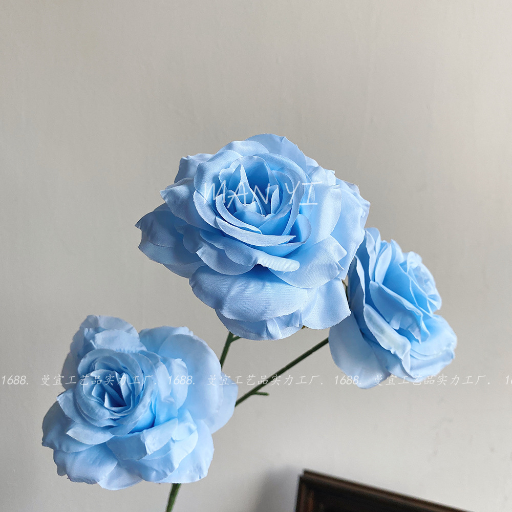 Azul 3 cabezas diamante rosa