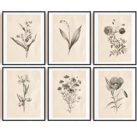 6件复古植物墙艺印刷品套装植物学图片海报花卉艺术装饰画布印刷