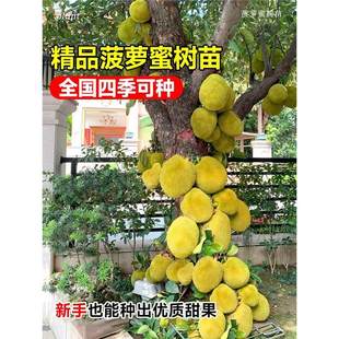 ���}�ۘ����޽ӹ�������ļ�ˮ�����҃���ͥԺ���ԷN���ͺ���ɏ