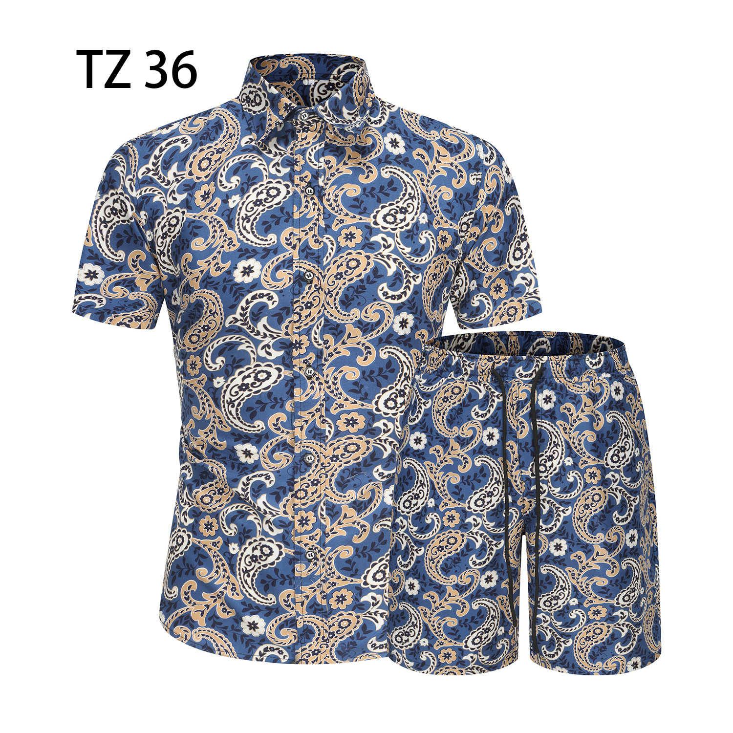 TZ36 블루