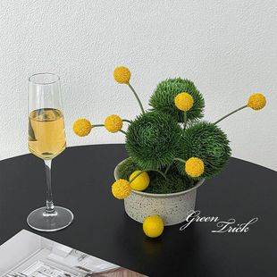 ���W�L�Gë����滨�����b[���Gʯ��G����ٻ��辰�ٻ��Gֲ