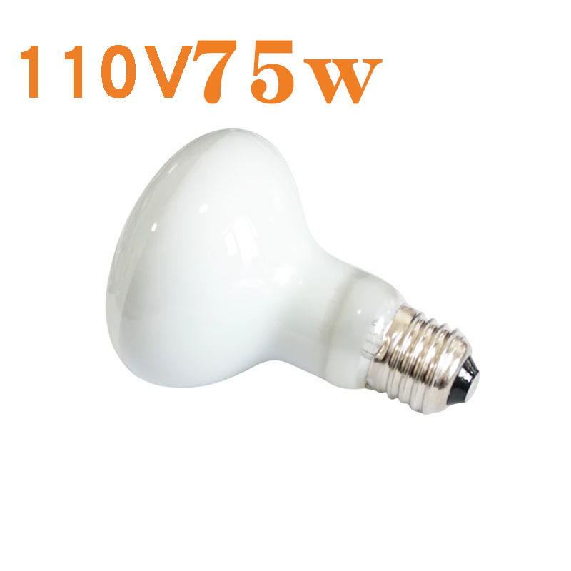 R80 열대우림 일광 램프 110V 75w