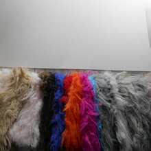 �¿��pɫ���нq�� �˰׏�����ë �Lë�q��q���b��߾d��Ƥ������