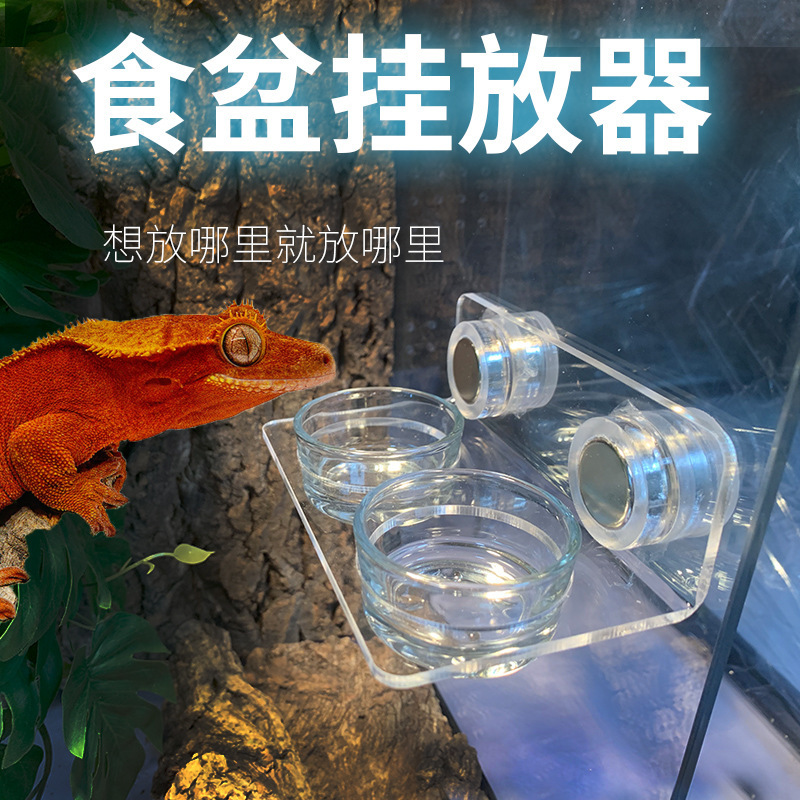 Eyelash Gecko R Species Arboreal Reptile Mobile Water Bowl Suction Cup Strong Magnet Adjustable Height Hanging Food Bowl Water Bowl Eyelash Gecko R Species Arboreal Reptile Mobile Water Bowl Suction Cup Strong Magnet Adjustable Height Hanging Food Bowl Water Bowl