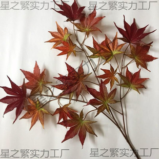 �~��ͩ���Ř��֦���Ṥ�̷���ٻ�ˇ���~�Gɫ��ͩ�~�쾰���~