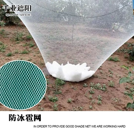 遮阳网;其他塑料网;天幕