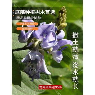 �²� ���ɷN�� �ձ����ɷN�� ���� ǧ���� �|��ɽ�|���� ��N��