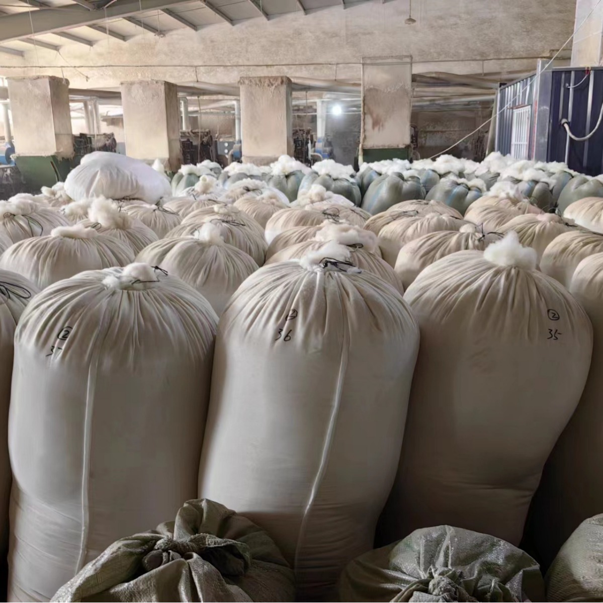 2024-03-25 10:54:14.jpg