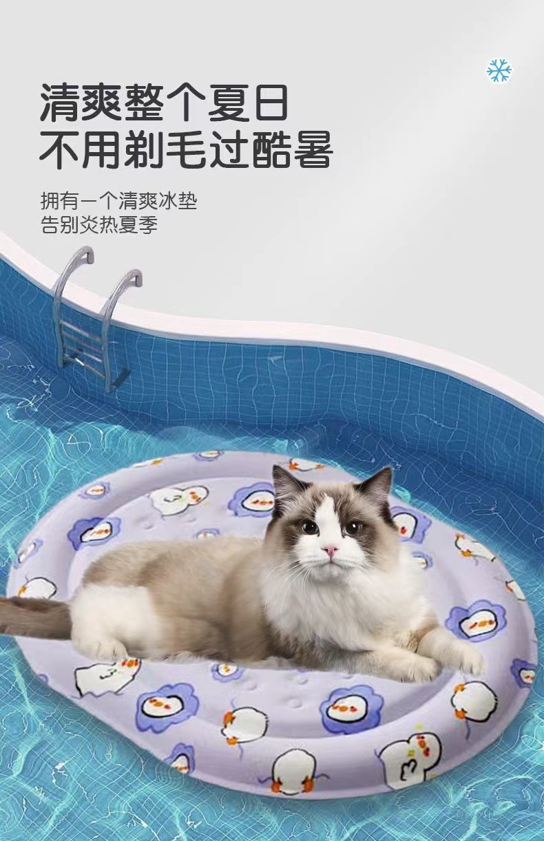 23ba39ec-53e0-4915-b2a9-ba24ac9dfc71.jpe