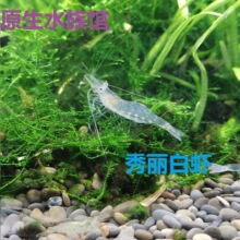 ������ˮ��̖�����^�p�rз�����坍�^�p�r�r�������A���]