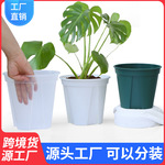 塑料花盆厂家亚马逊电商独立分装蝴蝶兰盆透气控根盆透明青山盆