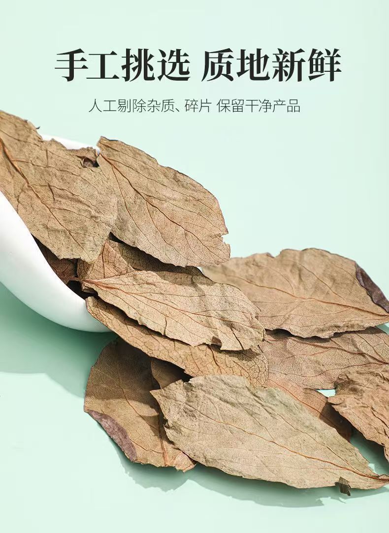 Dried Persimmon Leaf Shi Ye 20g Jar Frost-Touched Herbal Tea Leaves for Daily Infusion quality and texture