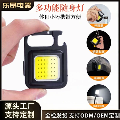 Cross-Border Outdoor USB Mini Keychain Light Cob Work Light Car Repair Light Household Emergency Flap Pocket Pants Night Light