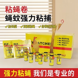 ճω��ճ�xճω�� �nω�N �nωճ ���x�� �nω����x��