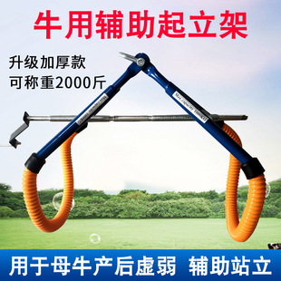ţ���o����������������ţ������ţ��ĸţ�a�������F��������