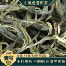 ɽɫնϴ~N2021^Ϙɢb500gն