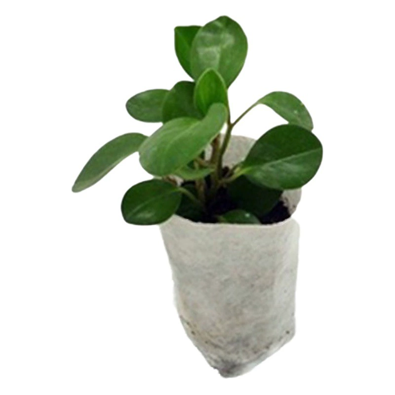 Экологически чистый нетканый мешок для рассады, мешок для питания, мешок-контейнер для рассады, биоразлагаемый мешок для посадки, сумка для садовых саженцев