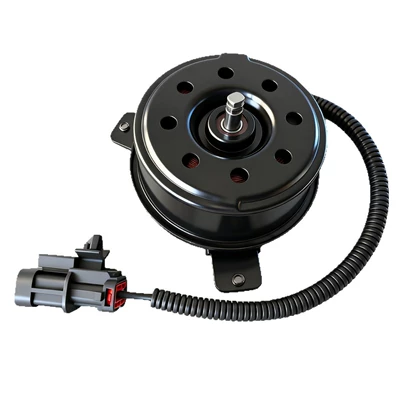 Electronic Fan, Fan