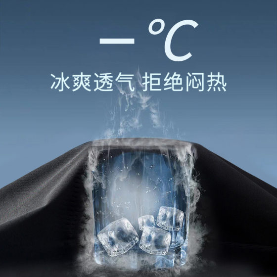 Shorts Men's Summer Thin Men's Quick-drying Pants Loose 2025 New Ice Silk Pants Outer Wear Casual Sports
