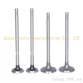 气门及部件;气门部件;油封