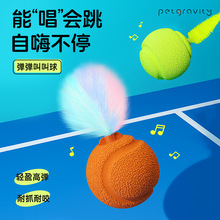 �������������н����x�B���b�����ץ��ҧ�؏����؈�䌙��؈���