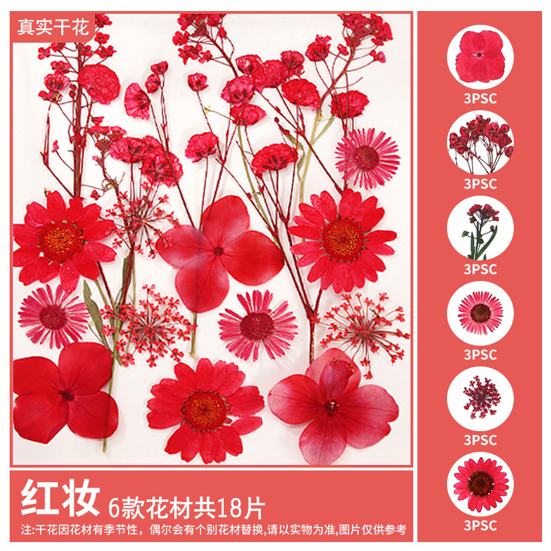 干花diy材料包永生花压花片押花草手工滴胶书签真花植物树叶标本|undefined