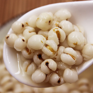 ���x�|���¼Z޲����С޲��޲���������r���Ԯa�ּZ�t��޲��50l