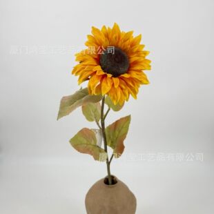 76cm��֧���տ����滨 ���콁��̫ꖻ� ��Y·���b� ��c����