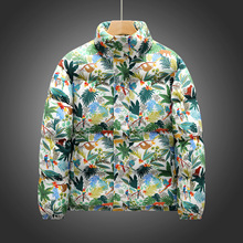 ��ʿ���Iӡ������2025�궬���¿����b������r�����e������ů�޷�