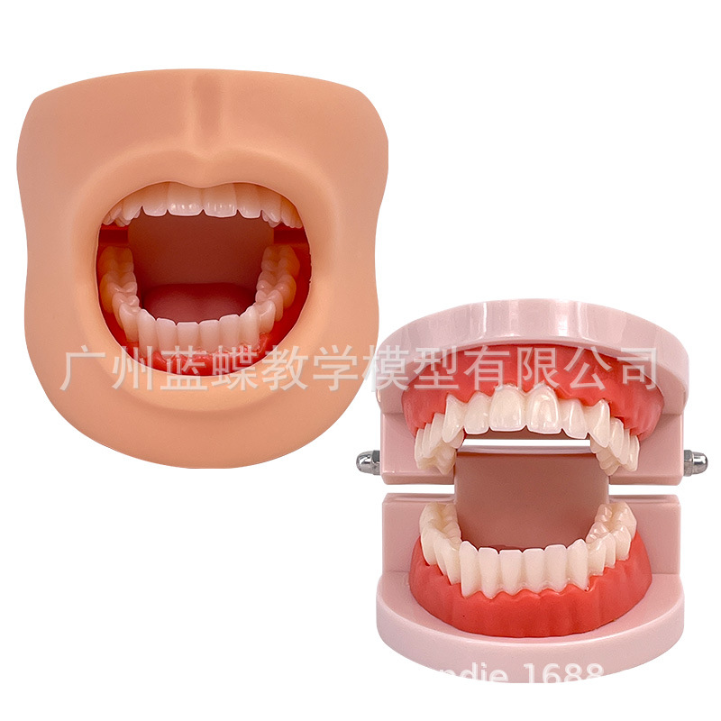 ��Ȼ������������ģ�� �߼���ǻ����ģ��(������)����ͷ