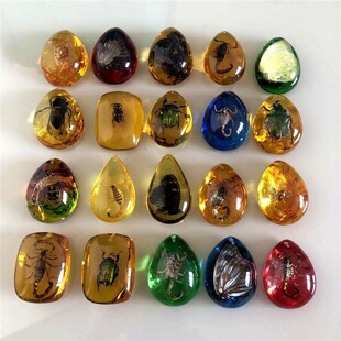 ������Ȼ�����x�˱�ϐ��֩����������� �׃��̌W�J֪����YƷ