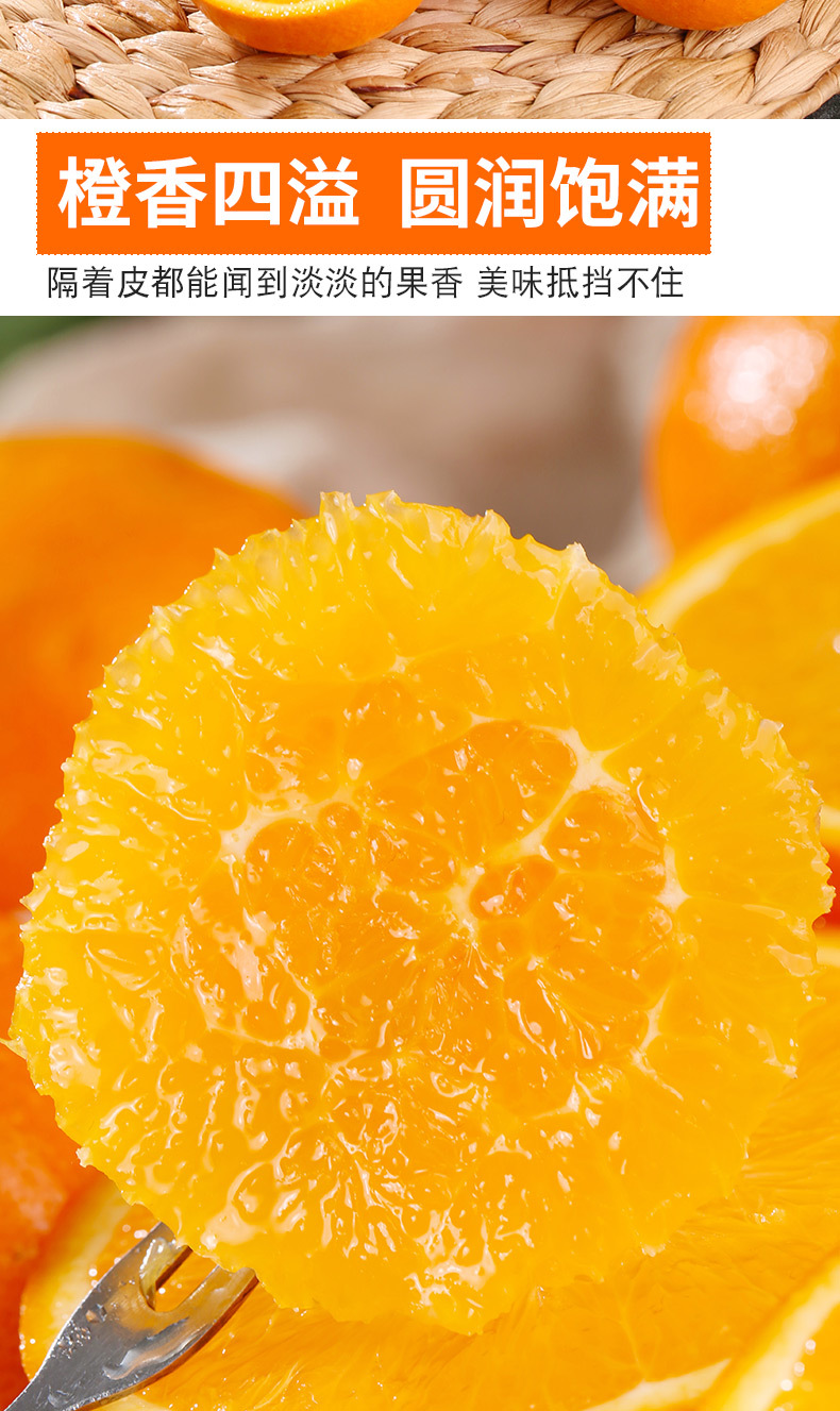 伦晚脐橙20223_05
