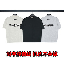 ESSENTIALS ֲĸֿ߽ɳT