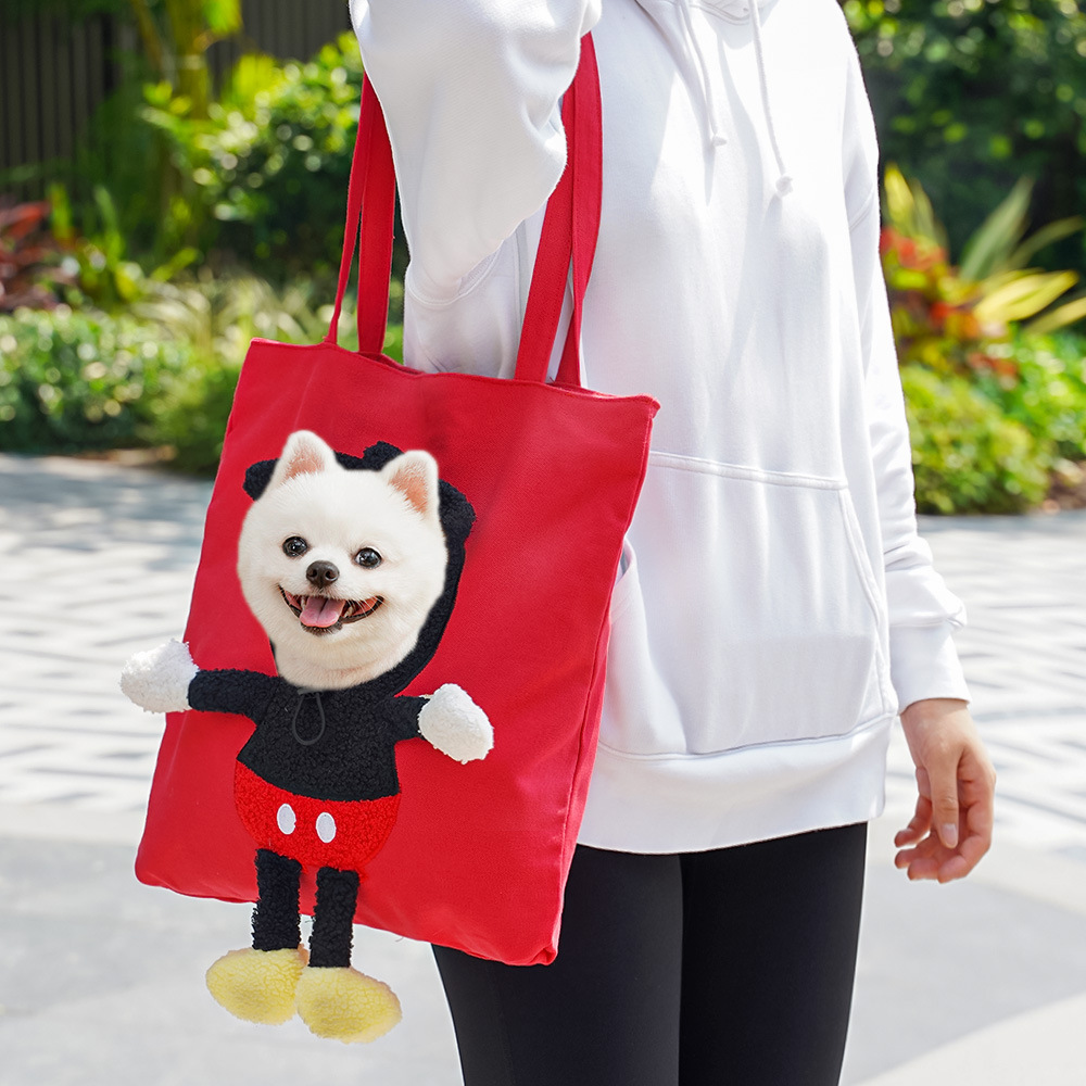 Mascotas para gatos bolsas de viaje al por mayor bolsas para perros y gatos bolsas de mano para perros pequeños salientes bolsas de hombro para perros