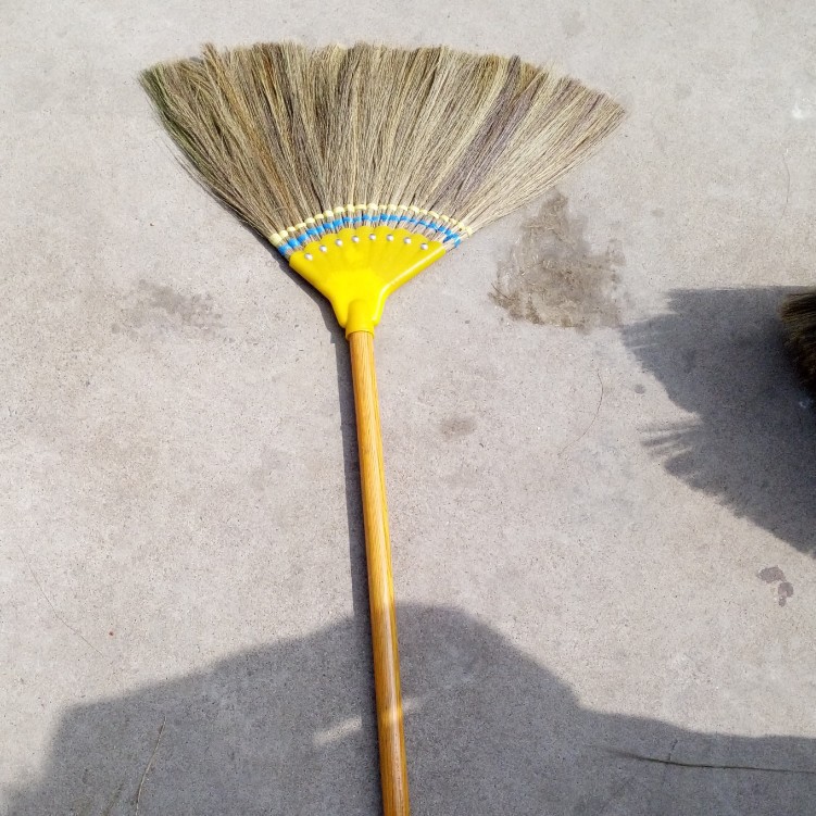 (분말 포함) 8 손톱 miscanthus 빗자루