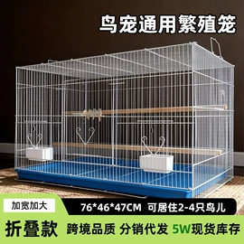 鸟笼