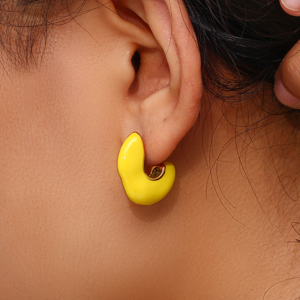 Fashion Geometric Stainless Steel Enamel Earrings 1 Pair