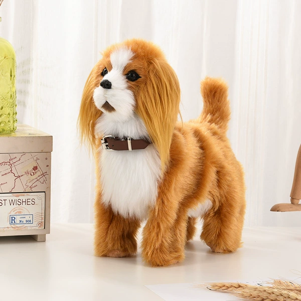 Cavaliers Charlie Wang Xiaoxiao Dog