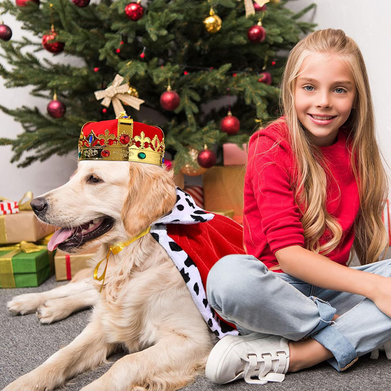 81DrZgrcbEL._AC_SL1500_